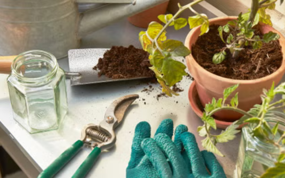 GARDENING JOBS FOR MARCH WITH HOMEBASE