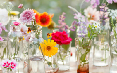 SPRING BLOOMS AT LIDL FLOWER MARKET